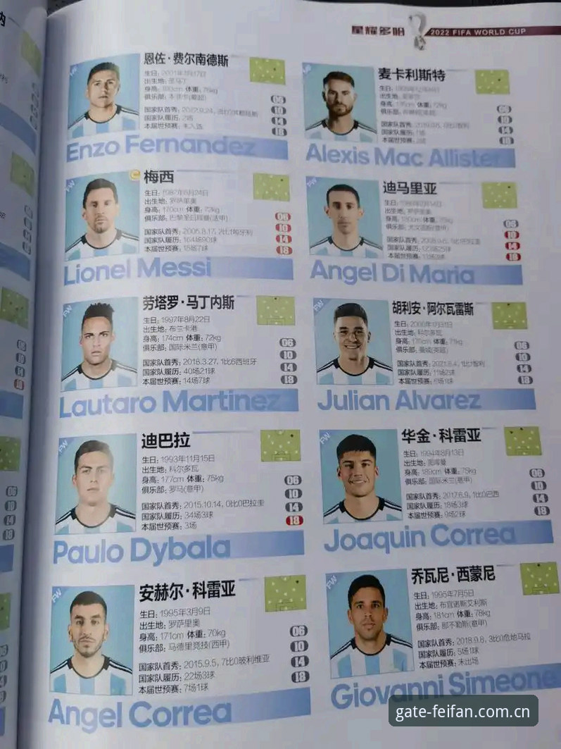 世界杯观赛体验对比：签证风波下的空座率 vs 非凡体育直播平台的沉浸感